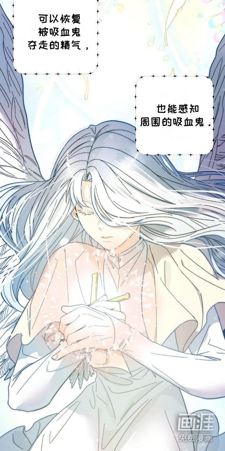 第17章：圣人