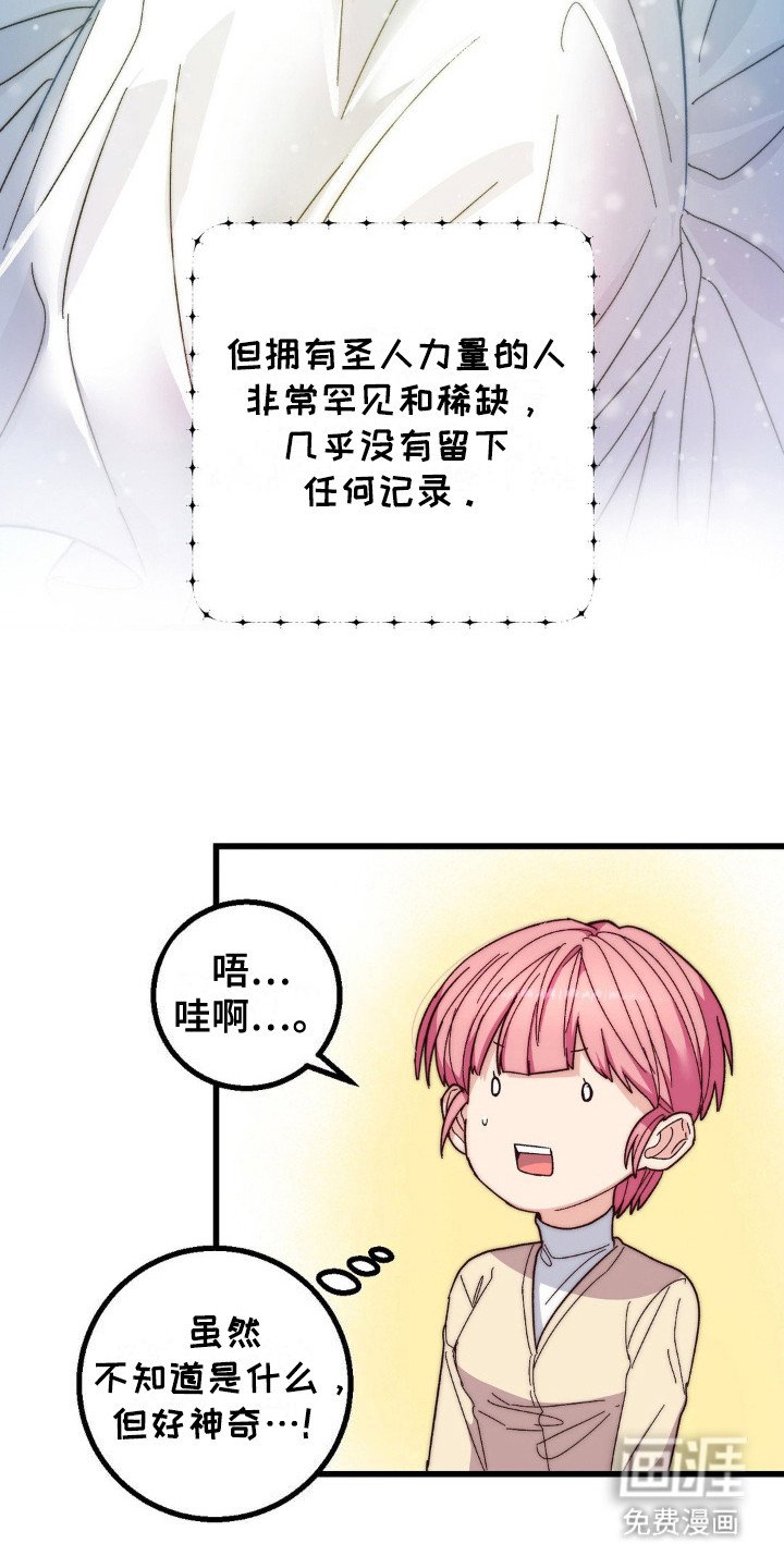 第17章：圣人