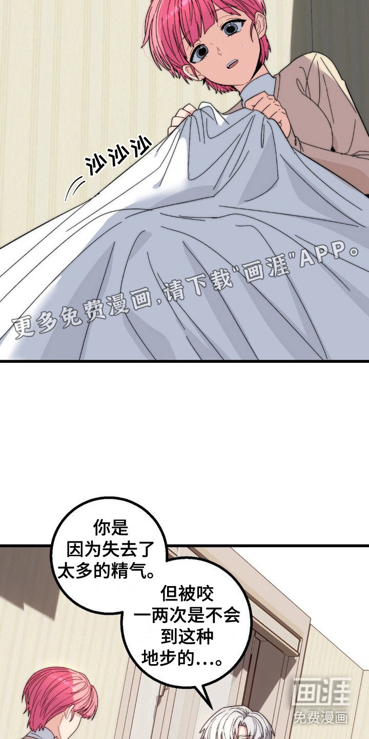 第18章：精气