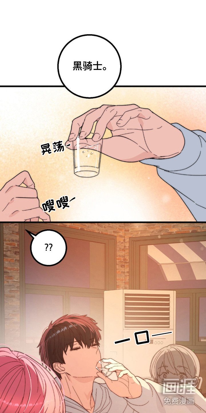 第21章：黑骑士