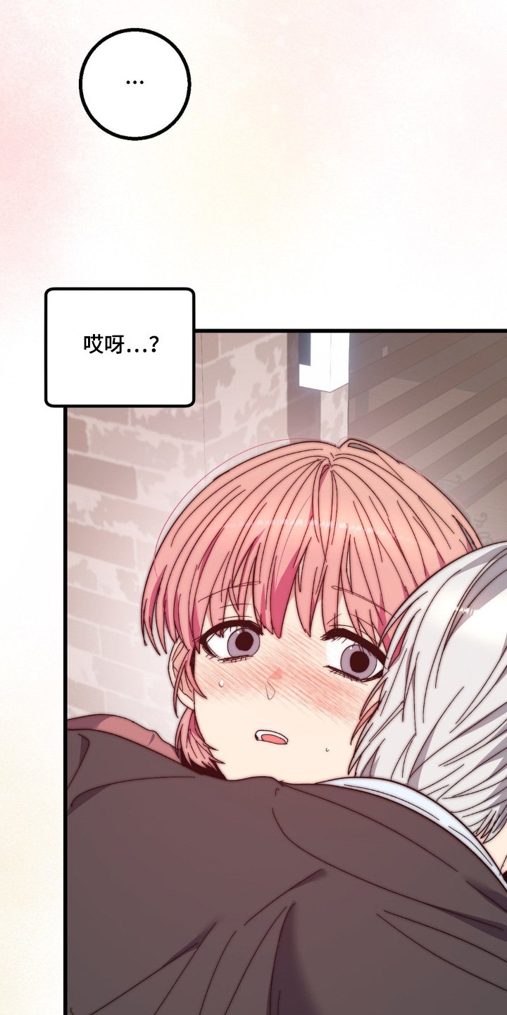 第27章：借口