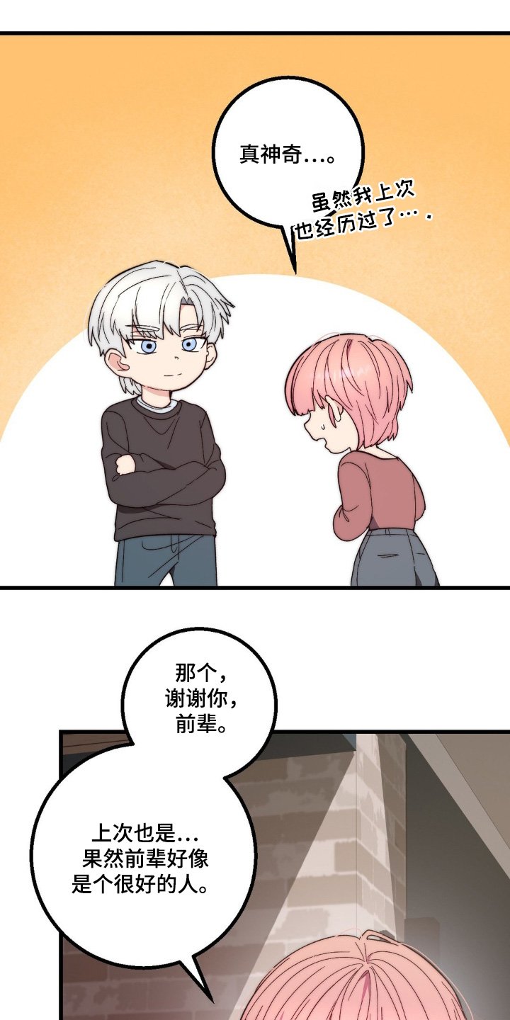 第27章：借口