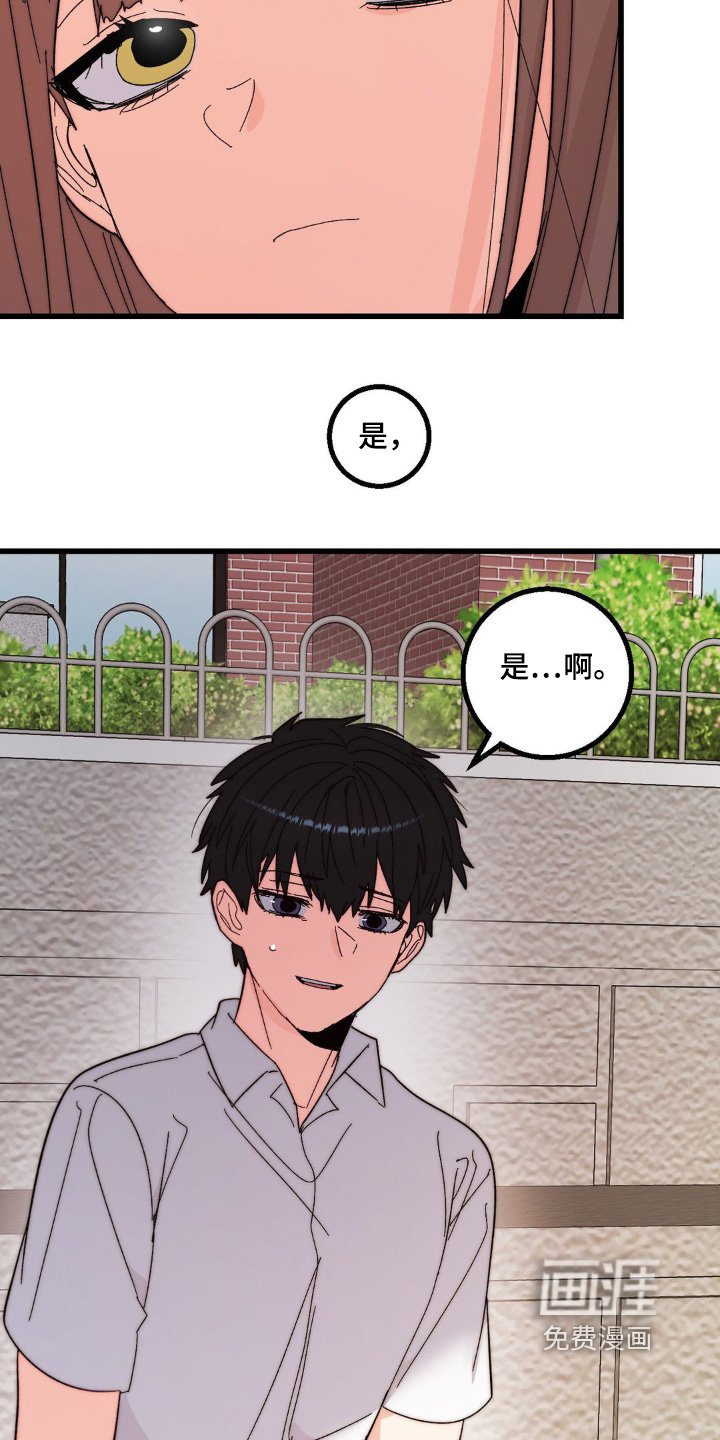第29章：怎么办