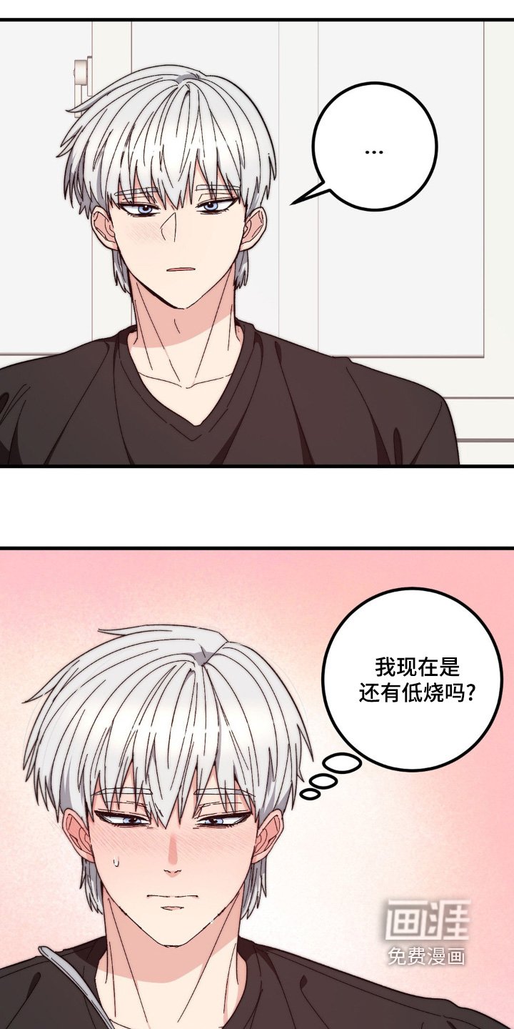 第31章：比较自在