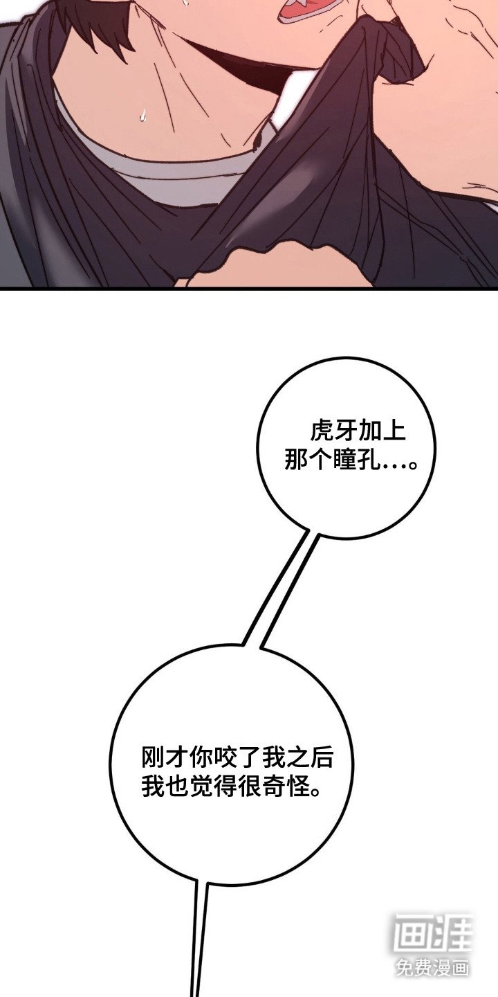 第4章：吸血鬼