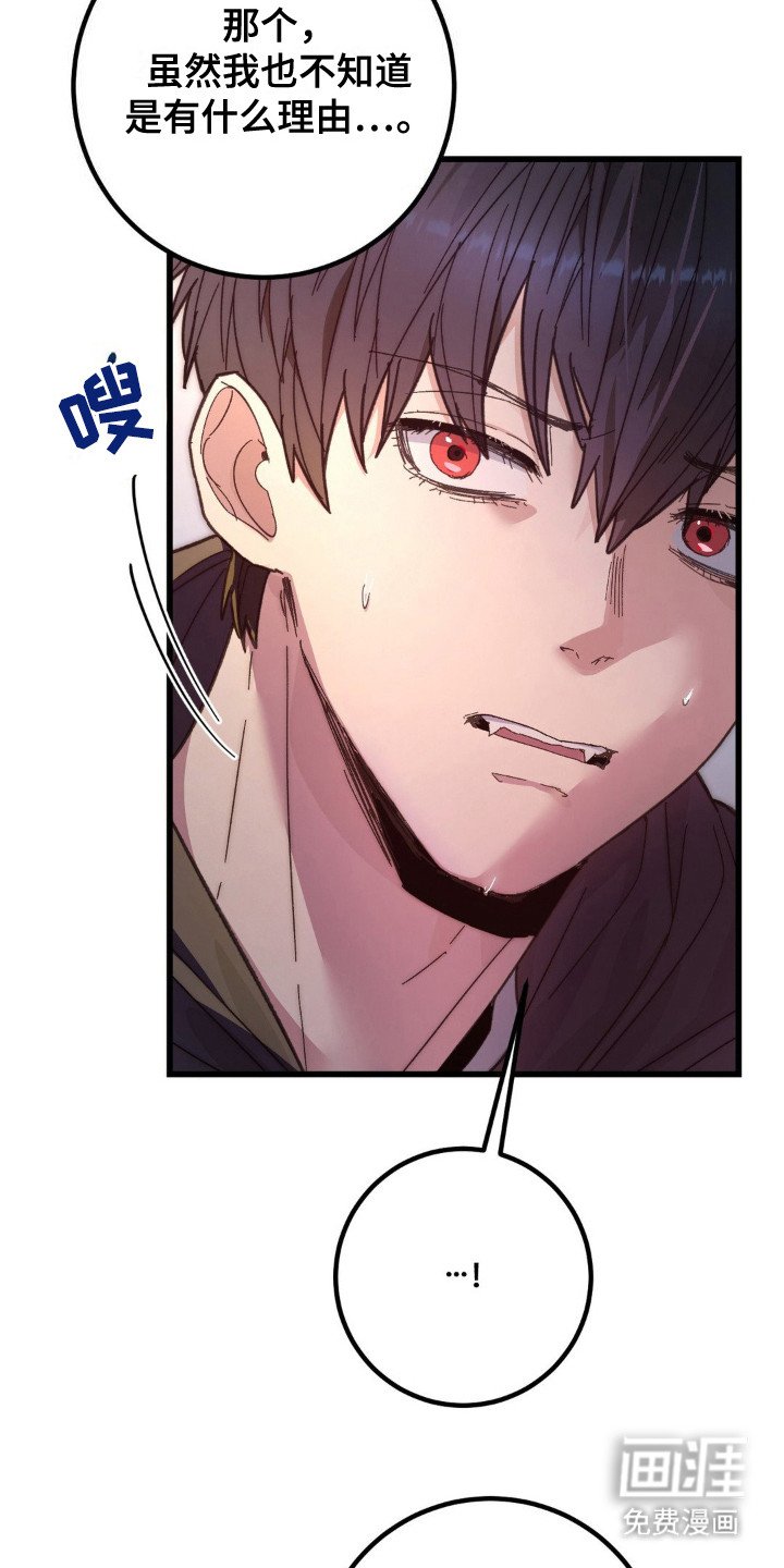第4章：吸血鬼
