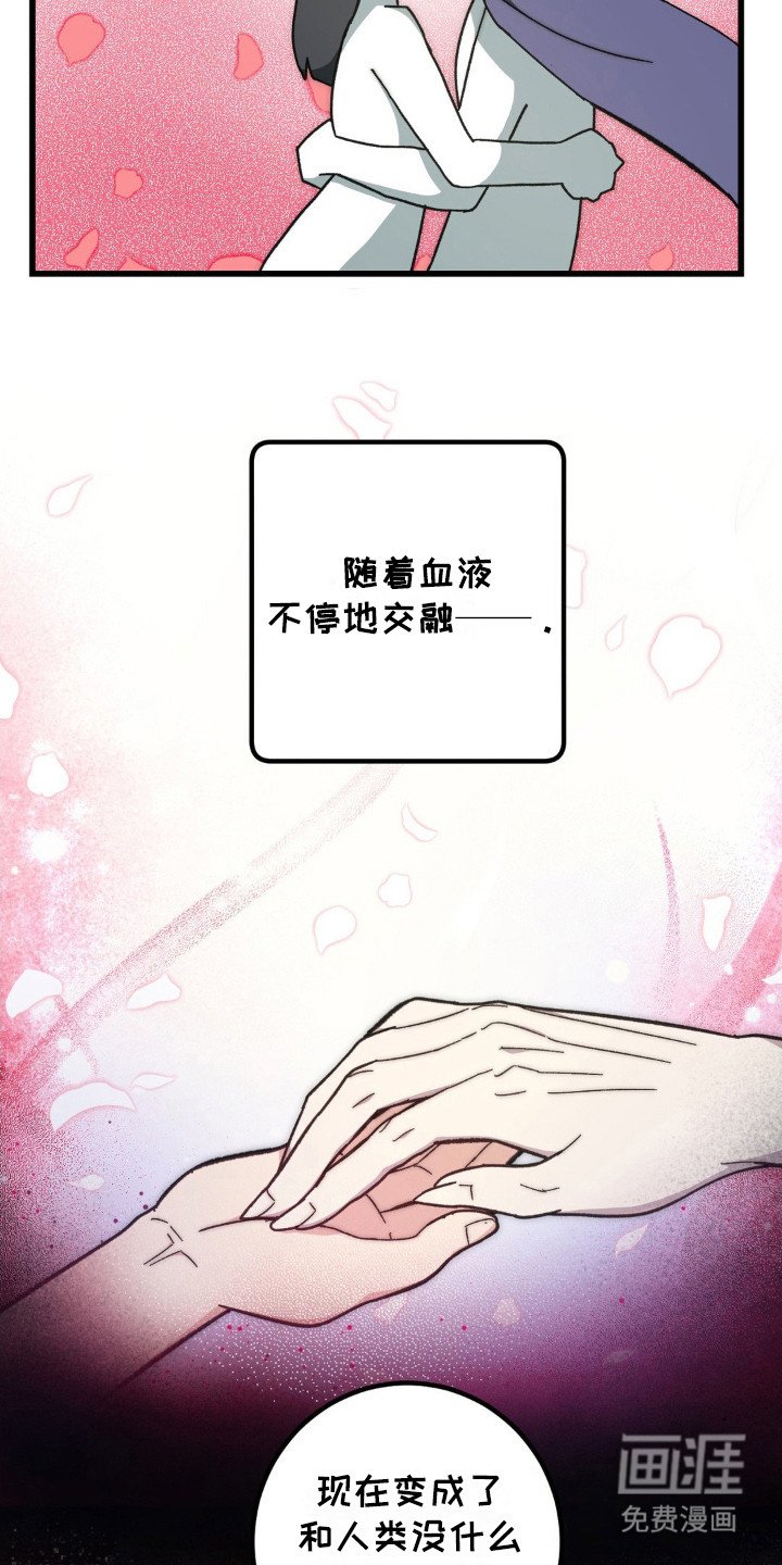 第5章：无法挽回