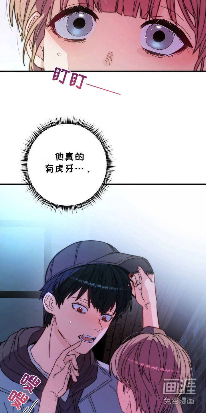第6章：莫名可爱