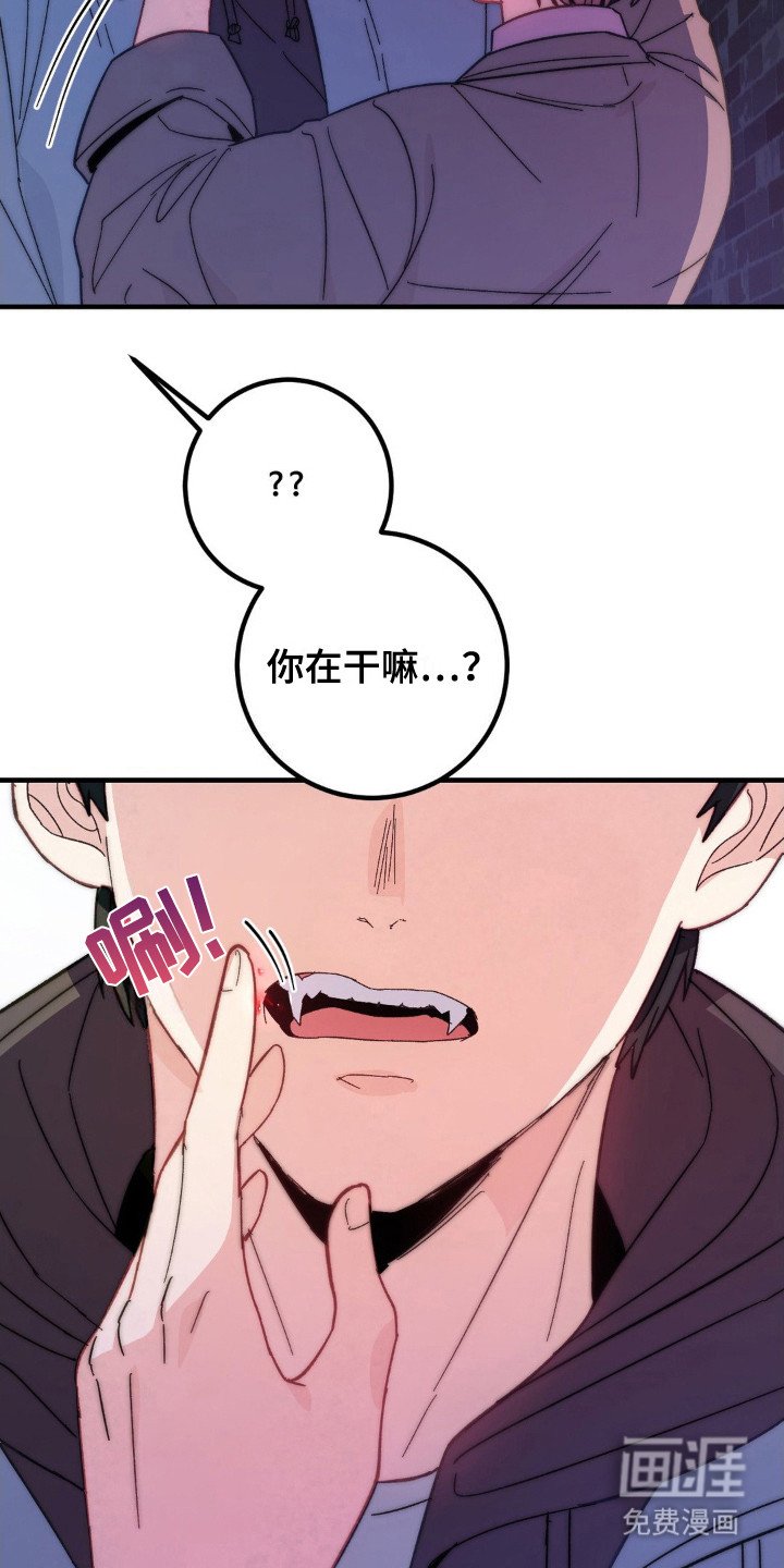 第6章：莫名可爱