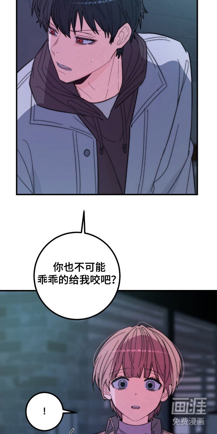 第6章：莫名可爱