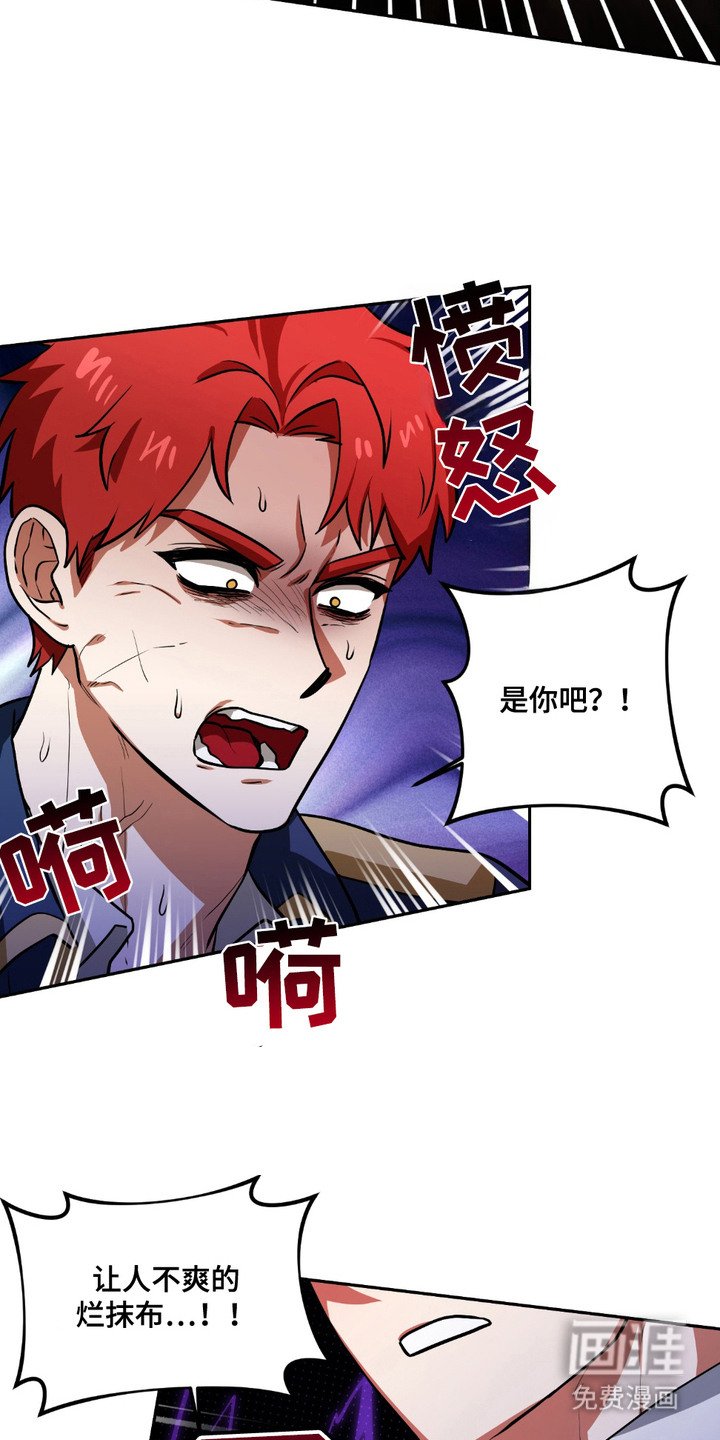 第21章：调查