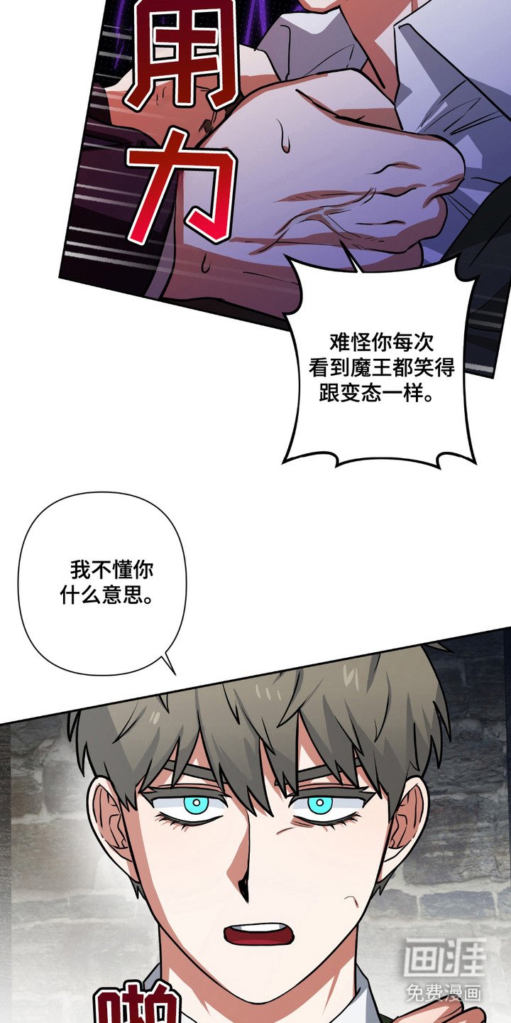 第21章：调查