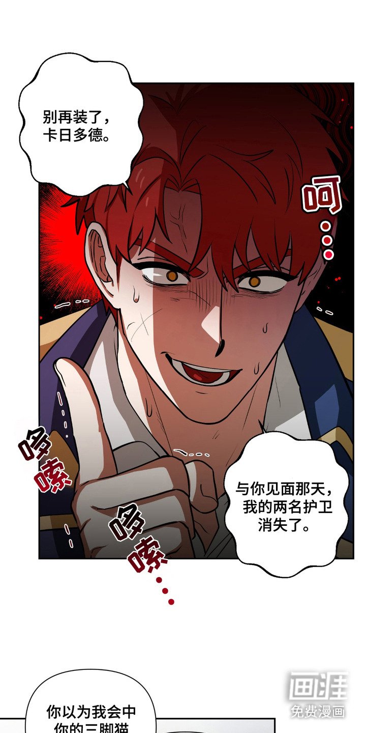 第21章：调查