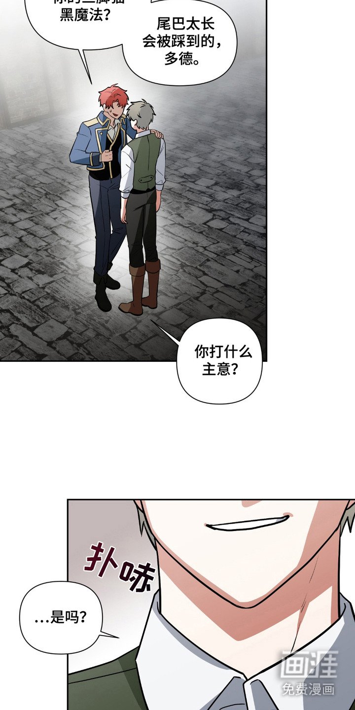第21章：调查