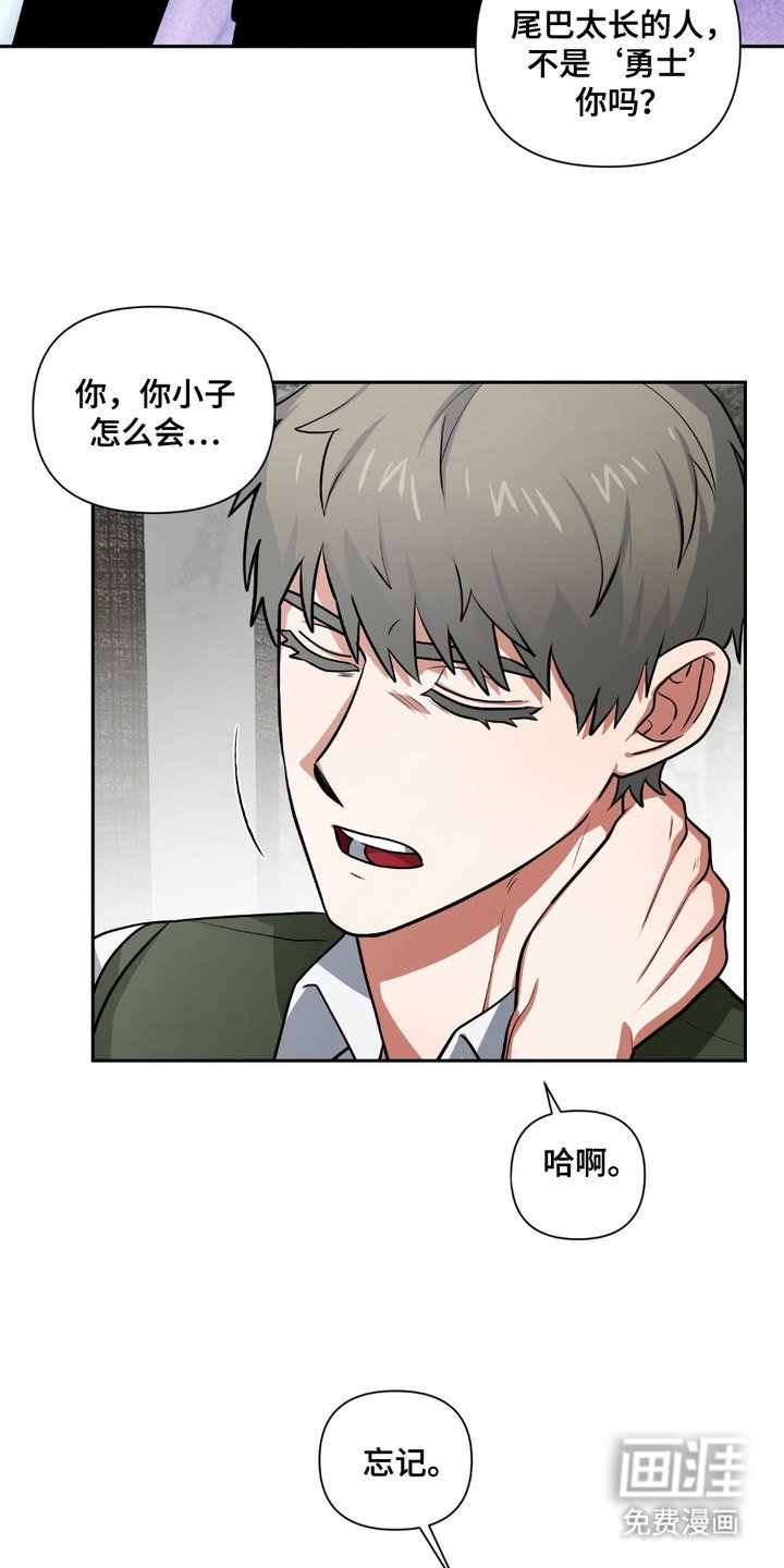 第21章：调查