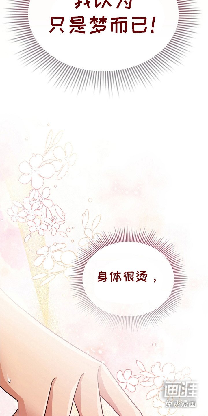 第13章：熟悉