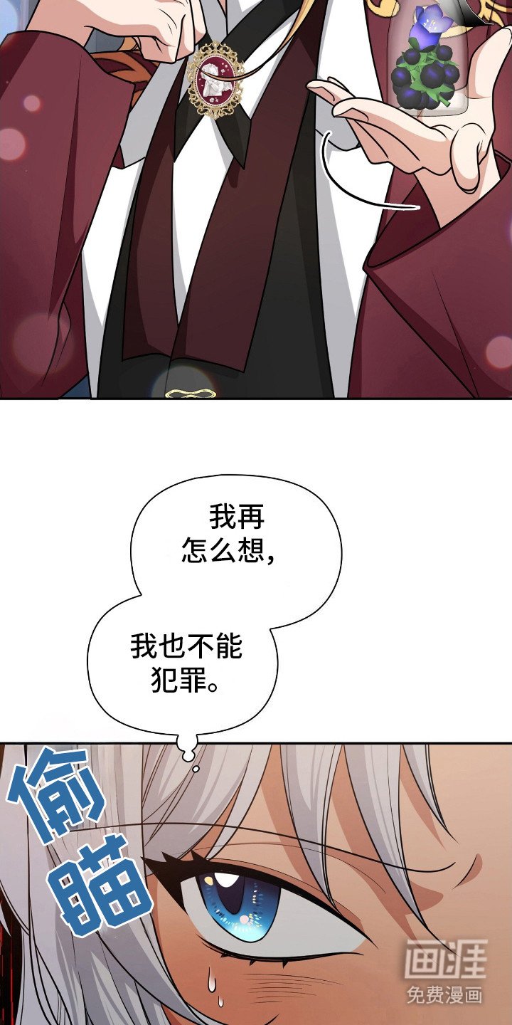 第17章：魔法药物