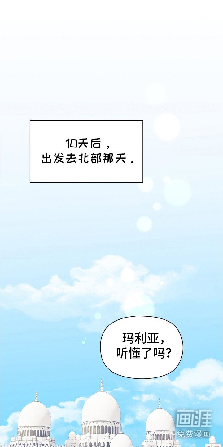 第2章：理想型