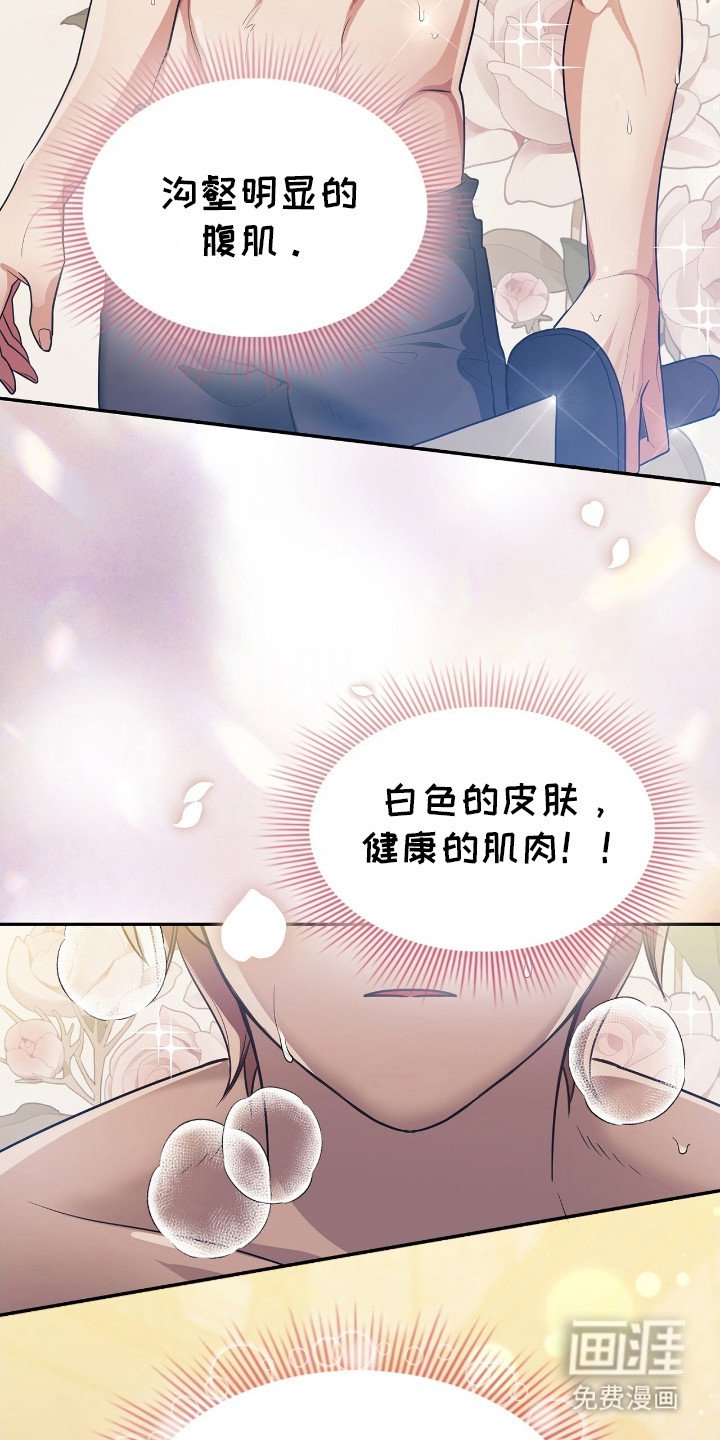 第2章：理想型
