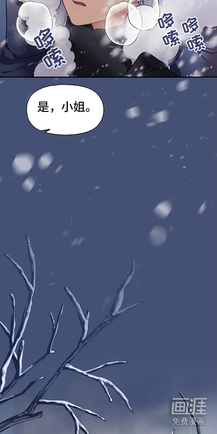 第2章：理想型
