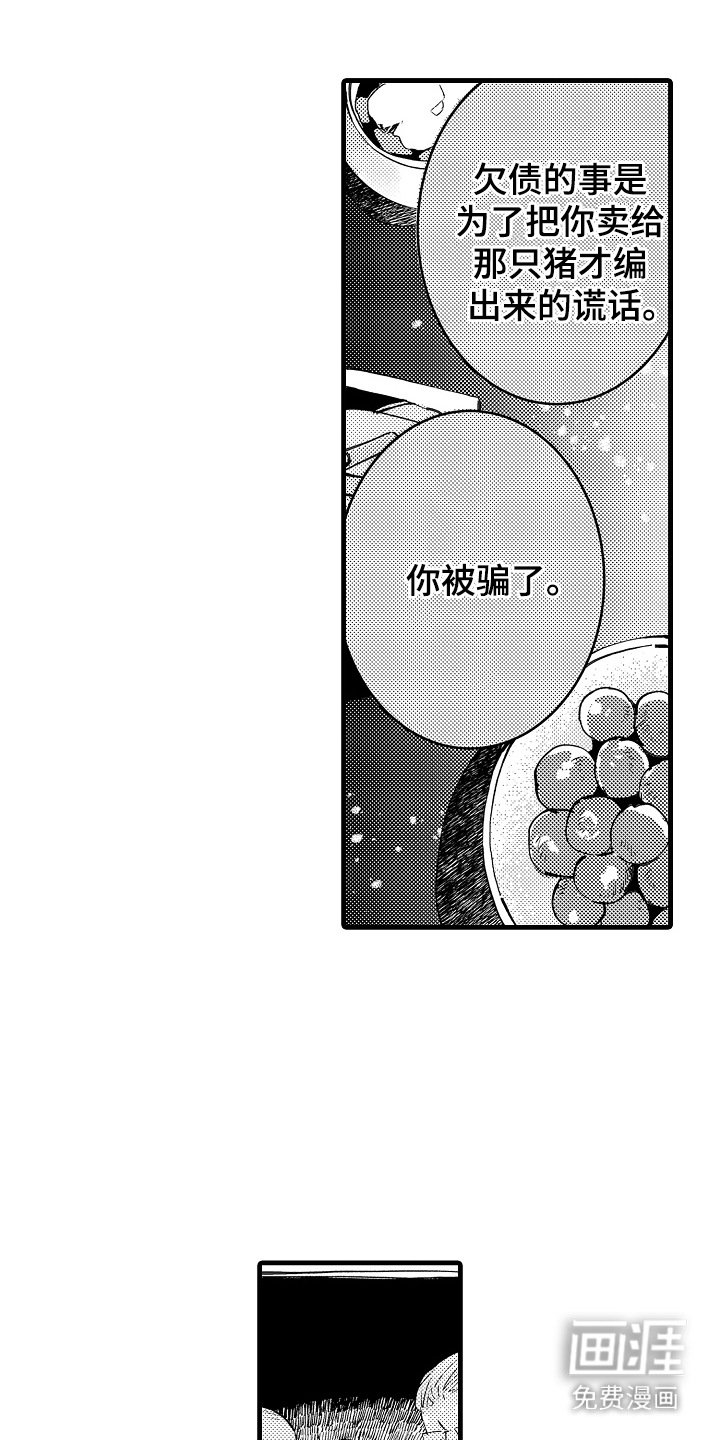 第12章：被骗了
