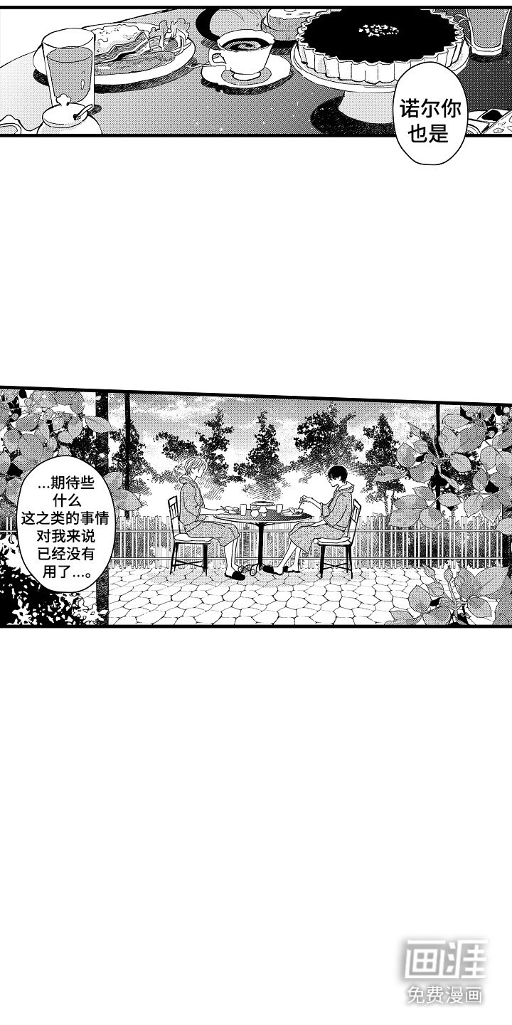 第15章：不再期待