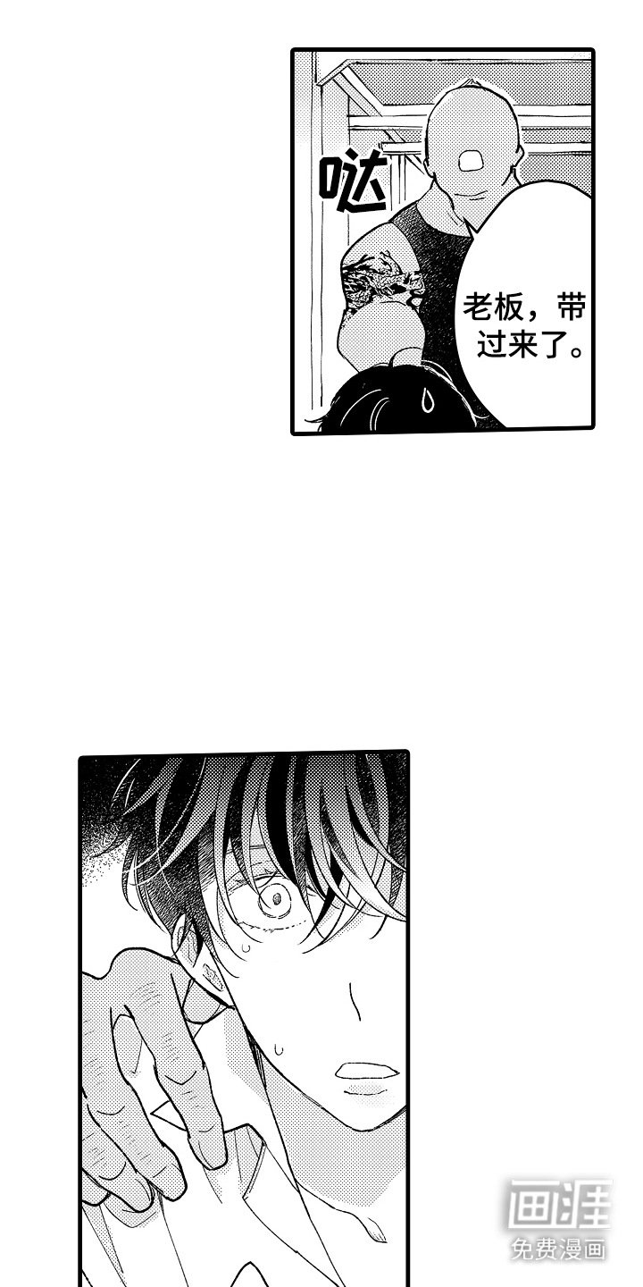 第6章：别无选择