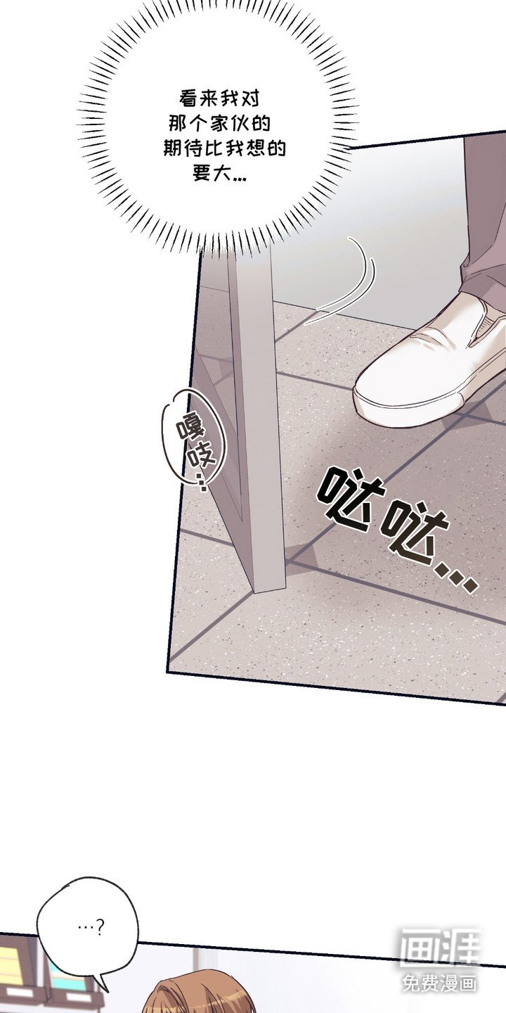 第12章：解释