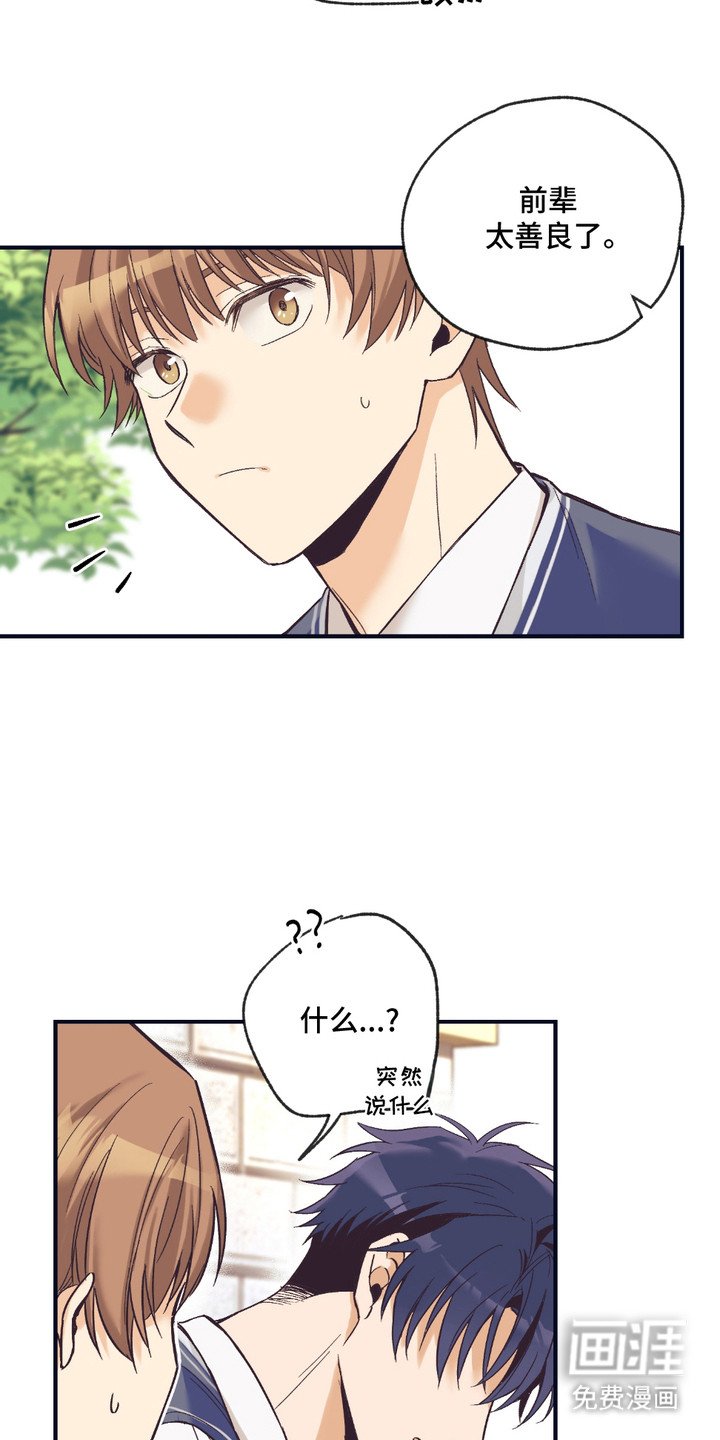 第12章：解释