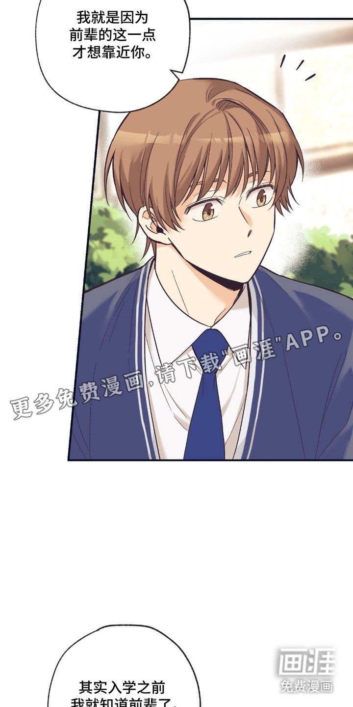 第12章：解释