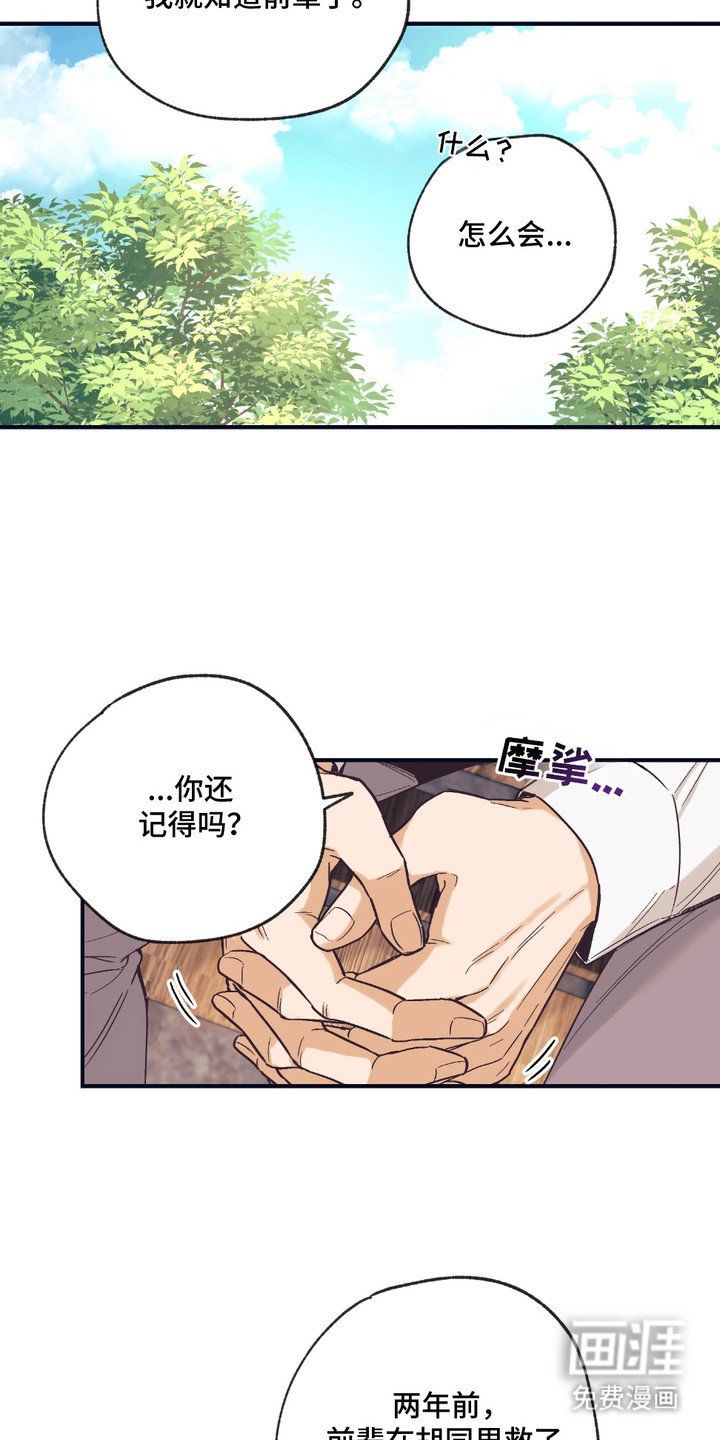 第12章：解释