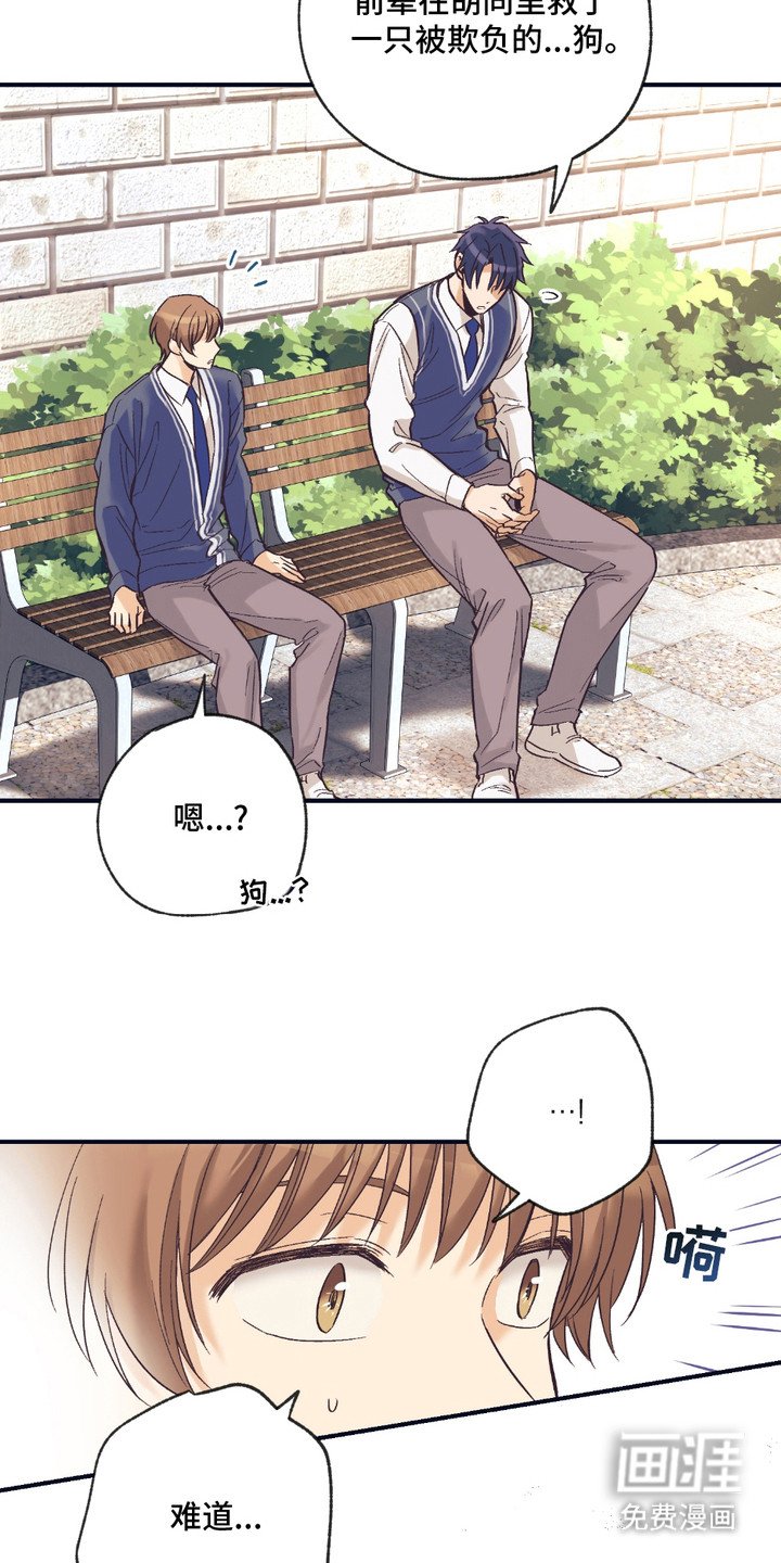 第12章：解释