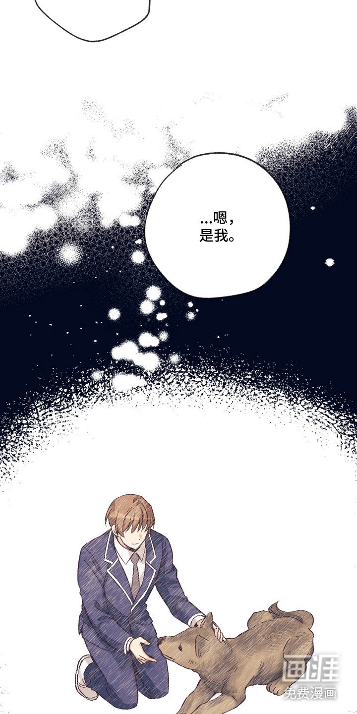 第12章：解释