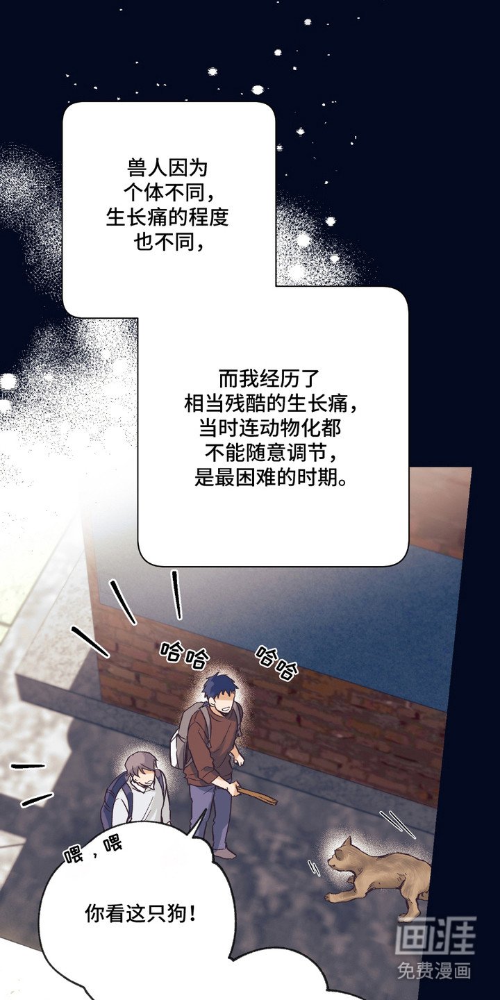 第13章：想要了解