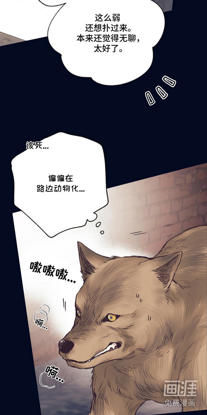 第13章：想要了解