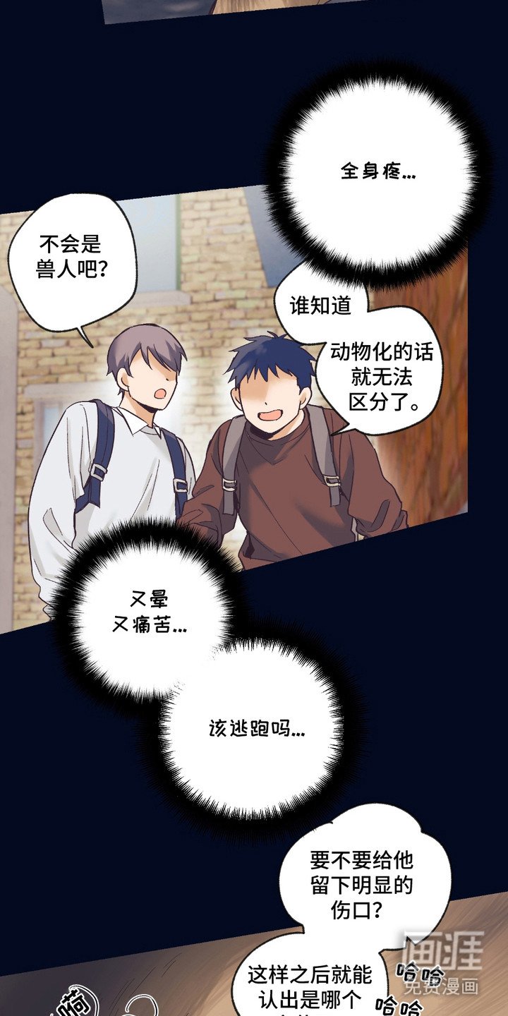 第13章：想要了解