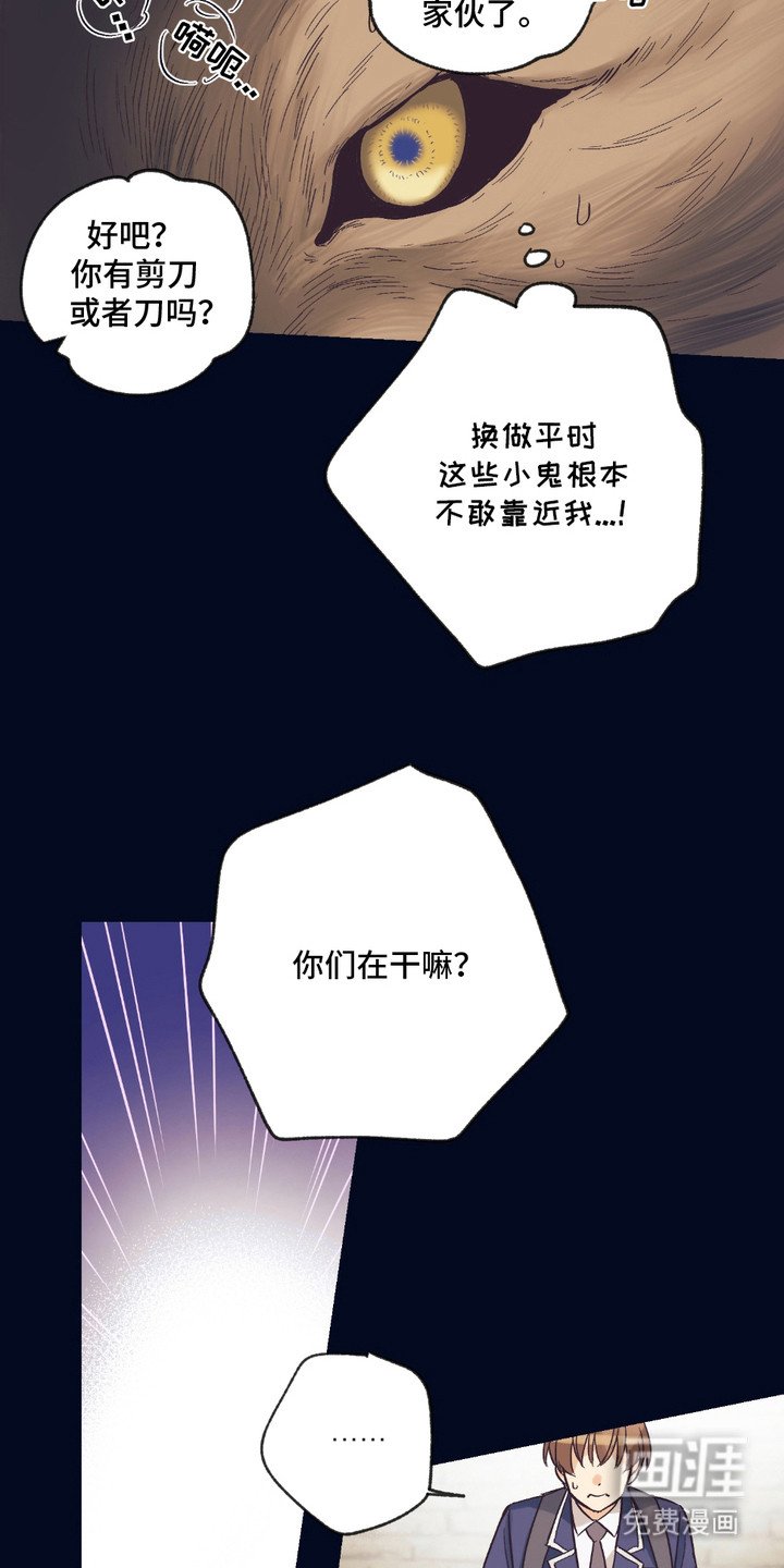 第13章：想要了解