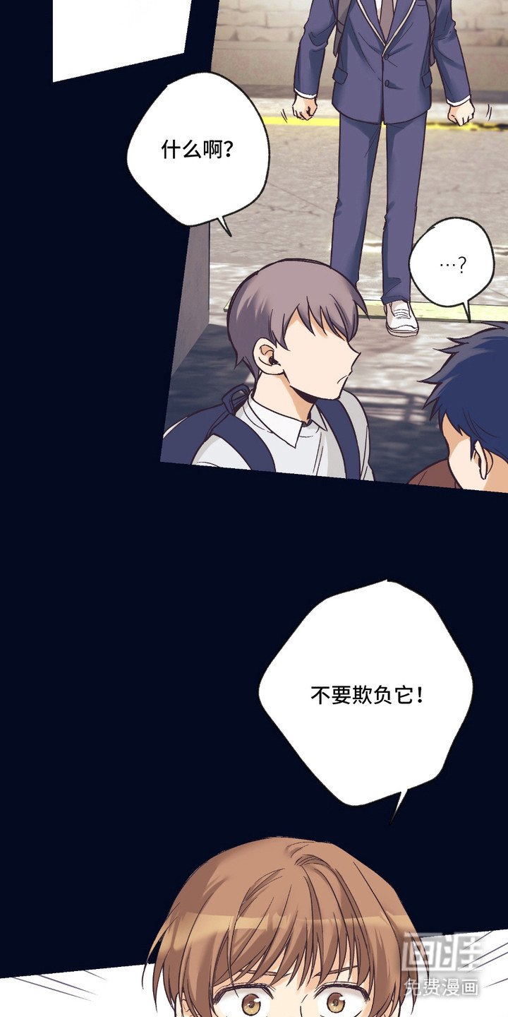 第13章：想要了解