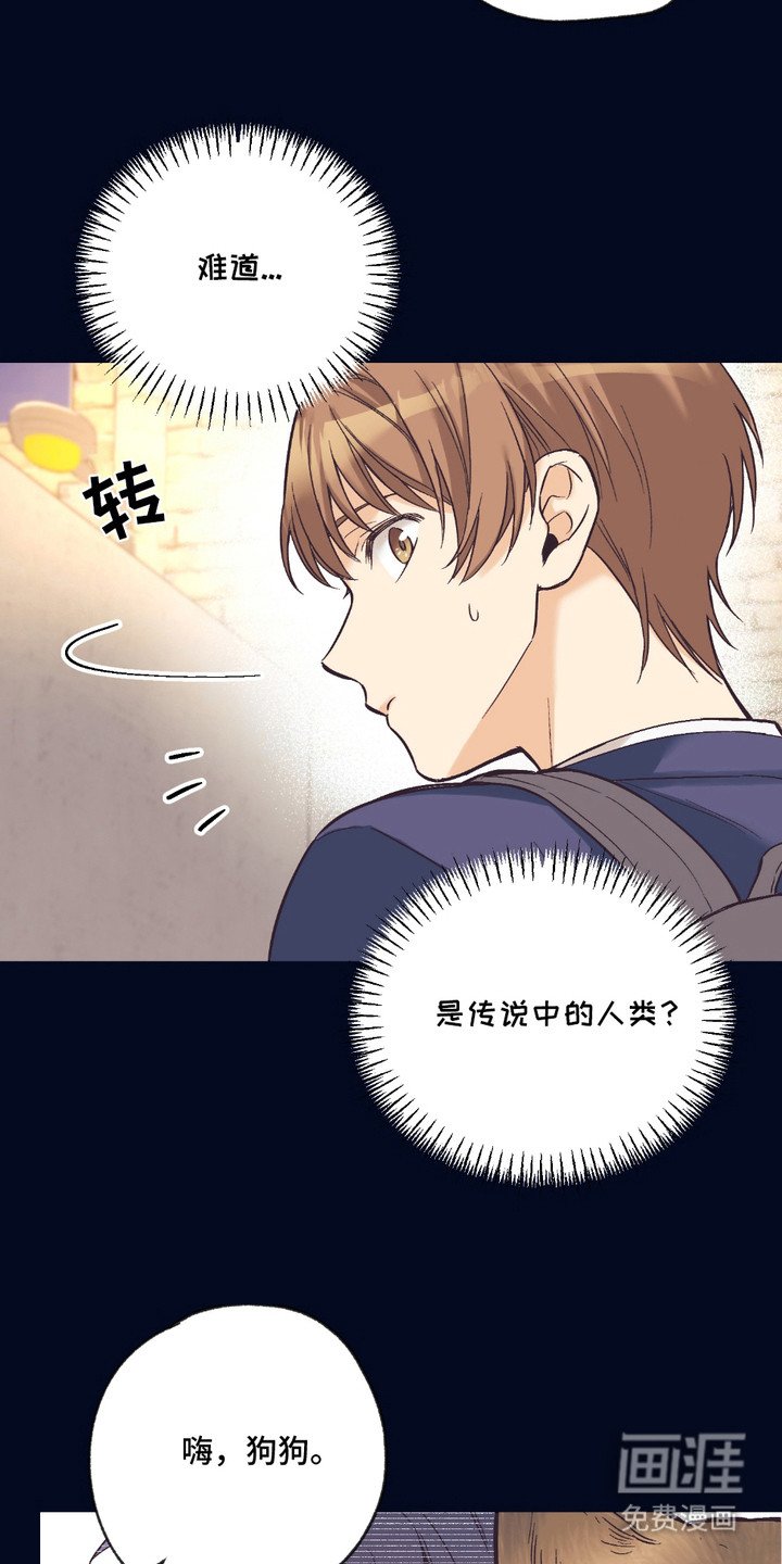 第13章：想要了解