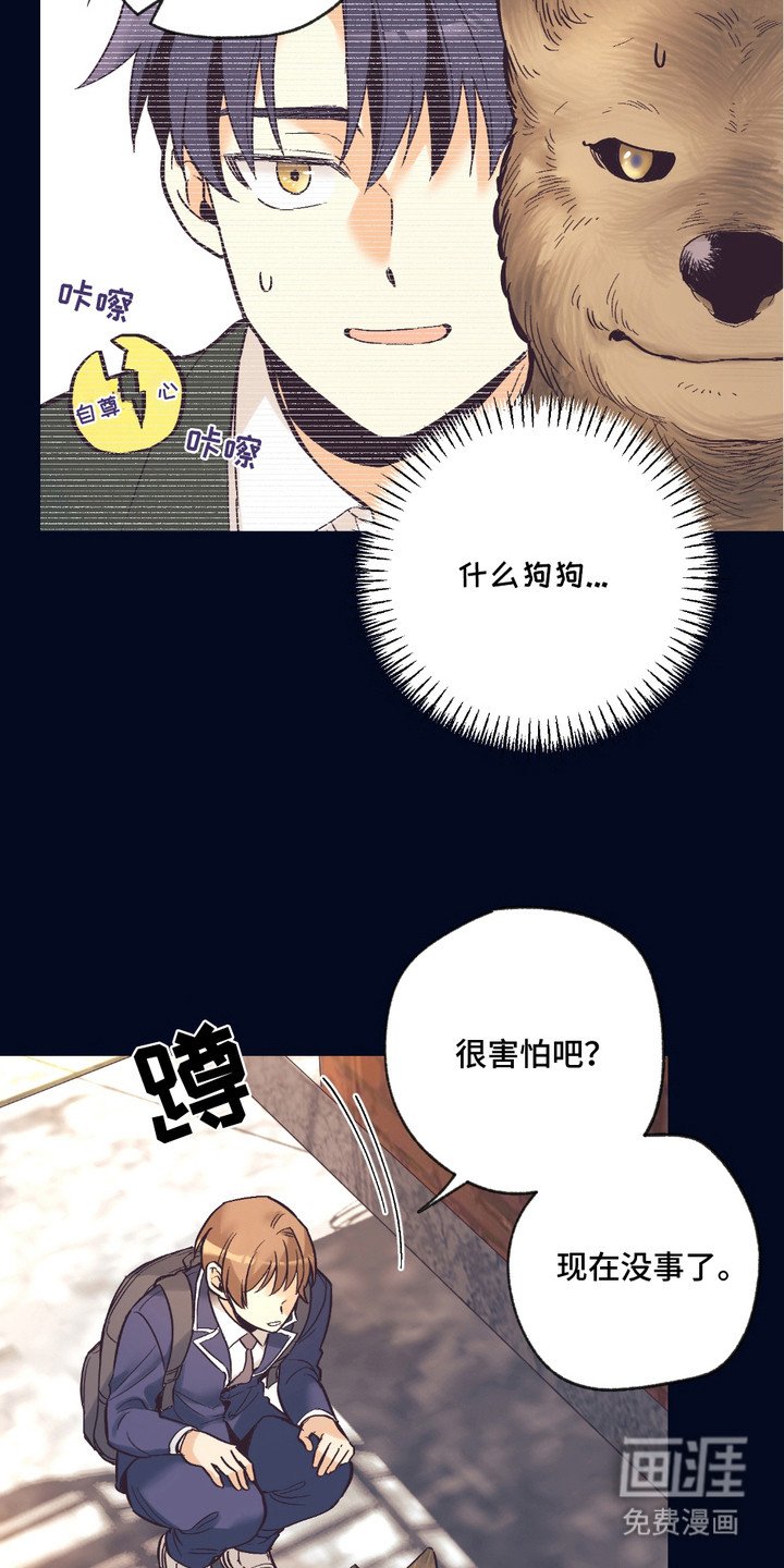 第13章：想要了解