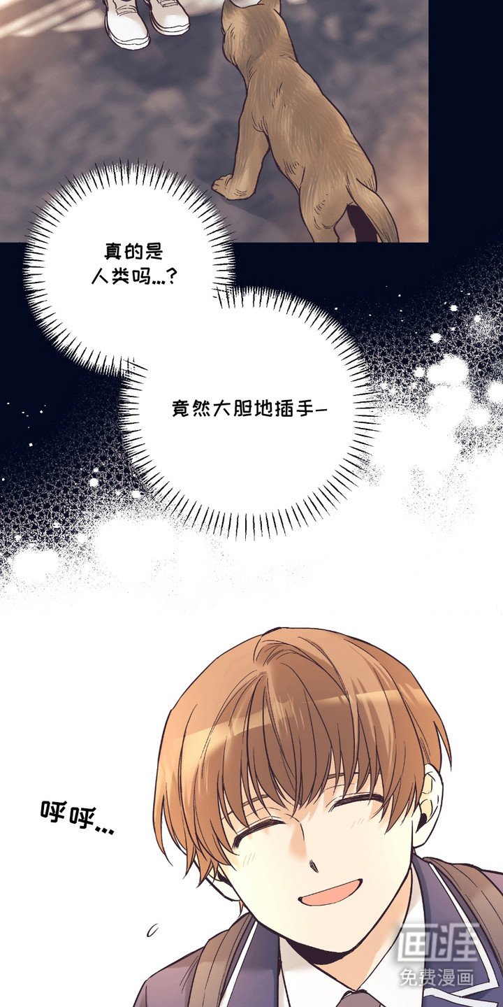 第13章：想要了解