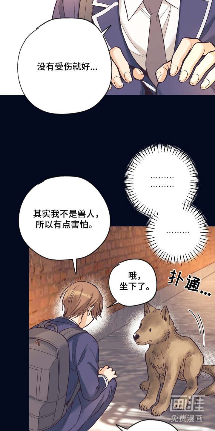 第13章：想要了解