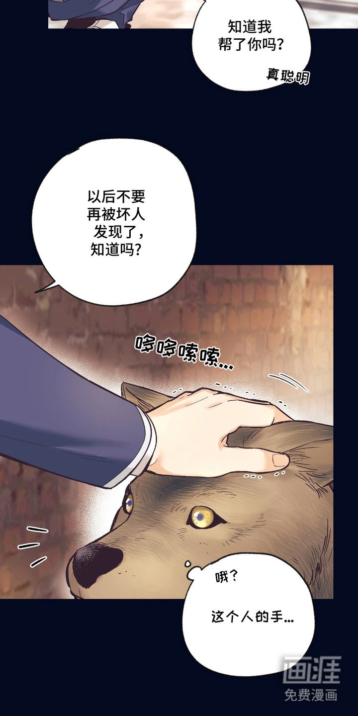 第13章：想要了解