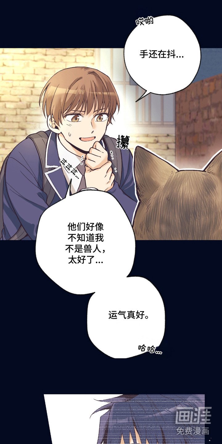 第13章：想要了解