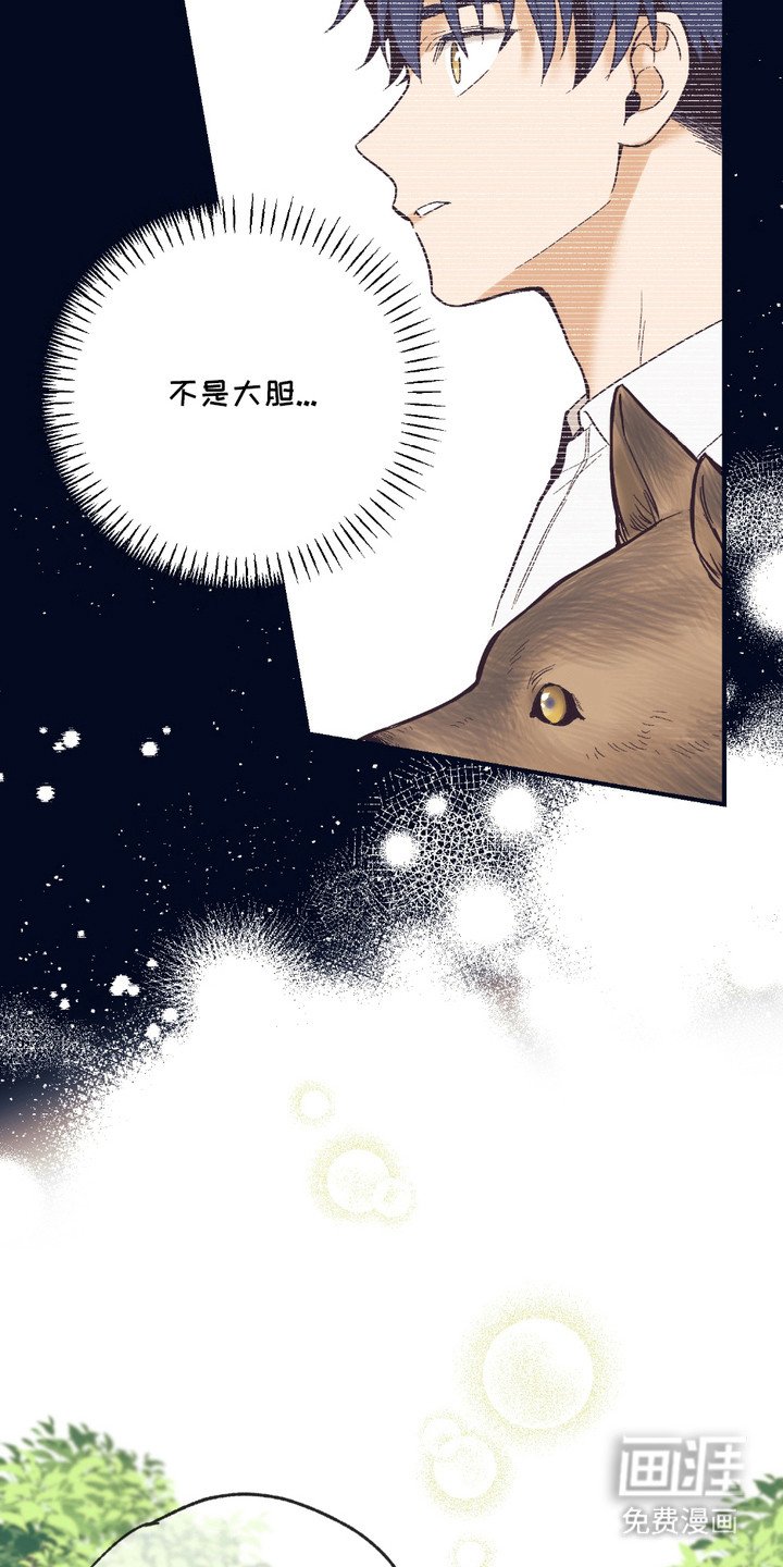 第13章：想要了解