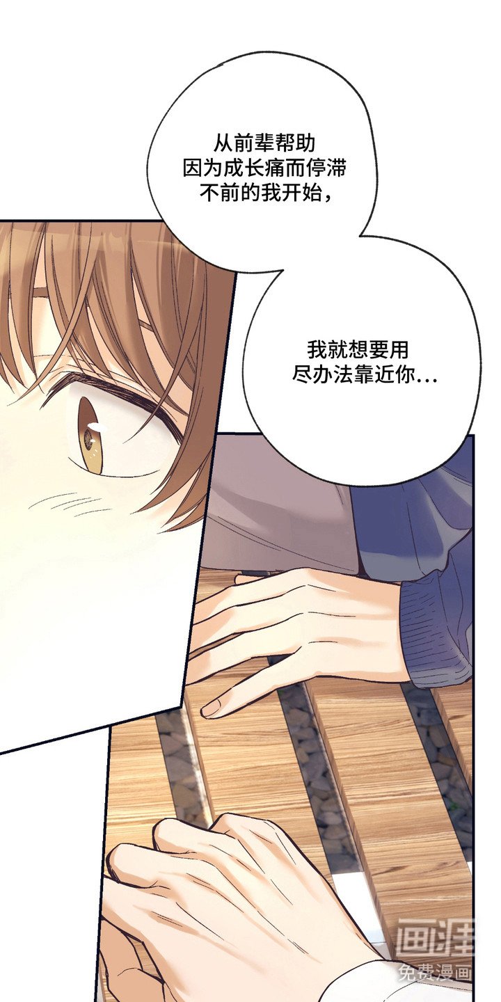 第14章：表白