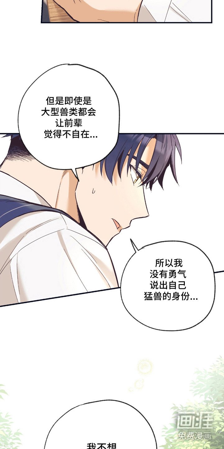 第14章：表白