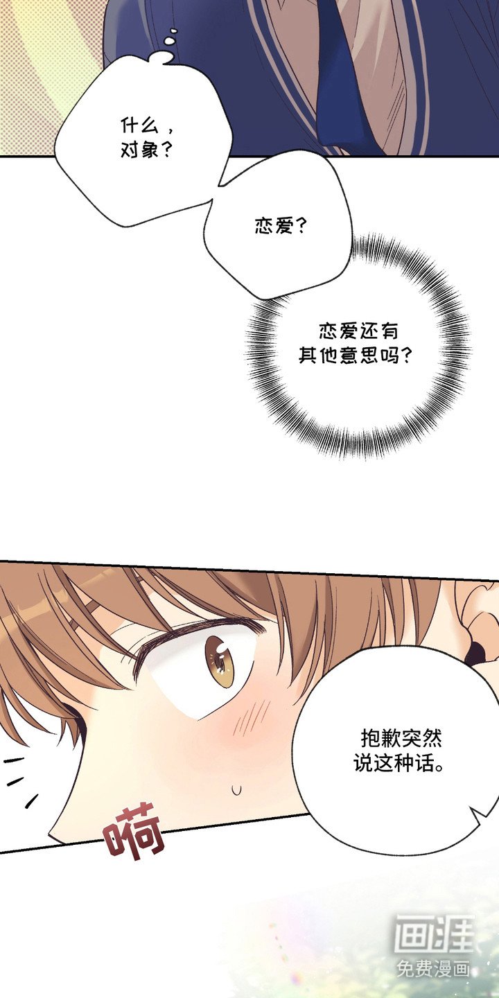 第14章：表白