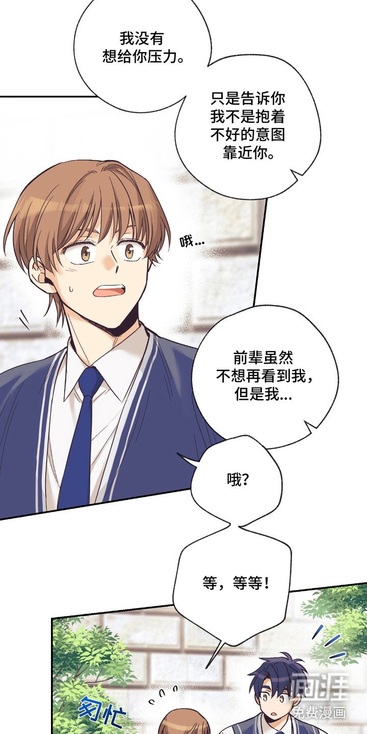 第14章：表白