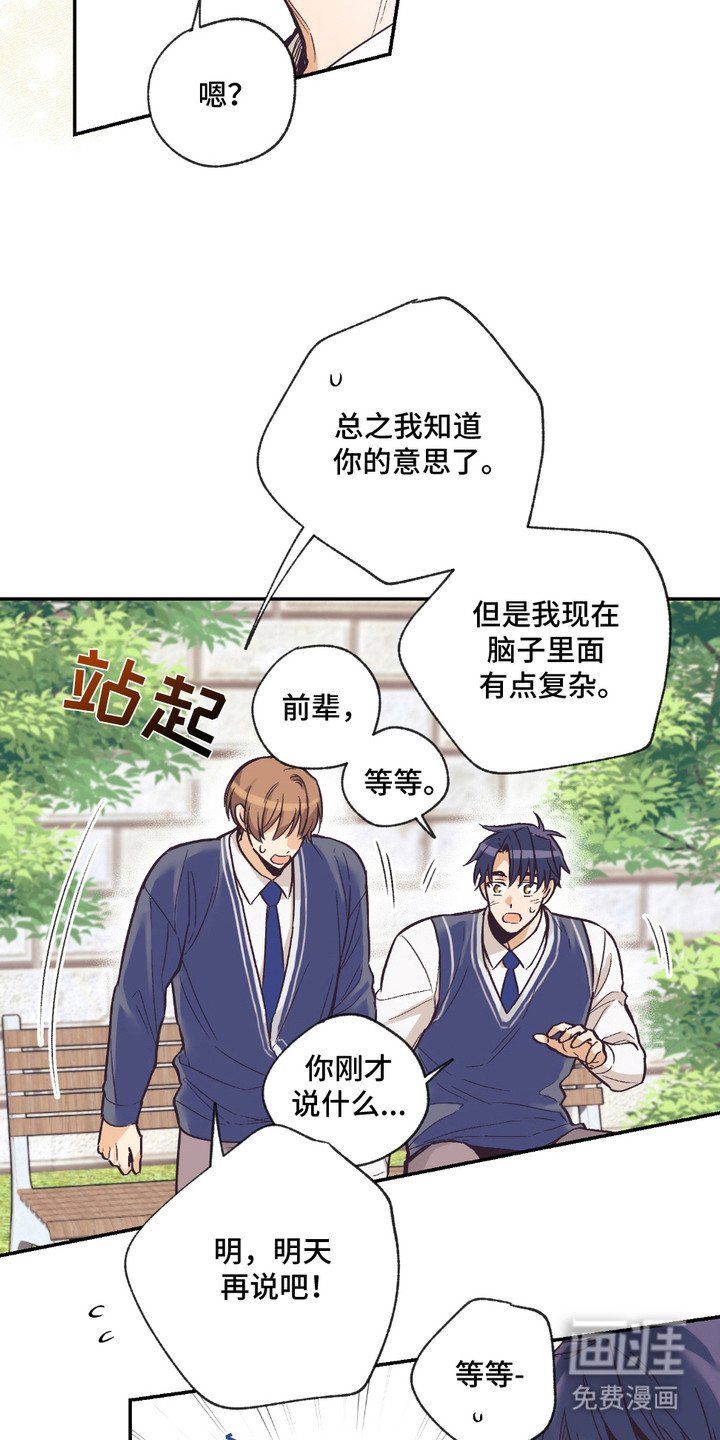 第14章：表白